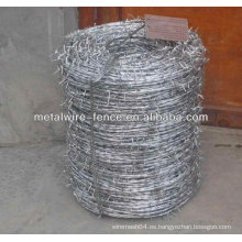 CE Hot Dipped galvanizado alambre de púas y alambre de afeitar (fábrica Iso9001)